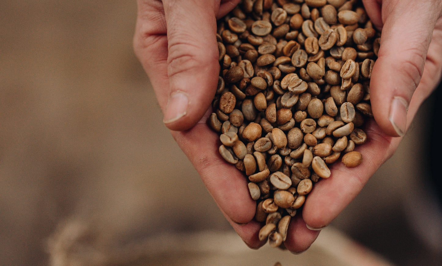 How We Test for Mould in Our Coffee
