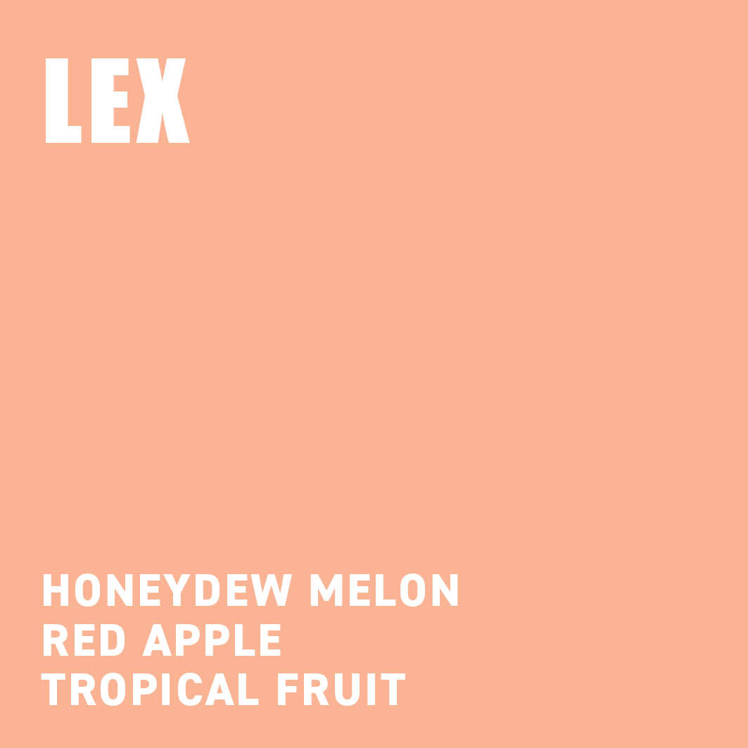 Lex Blend The Wood Roaster Coffee