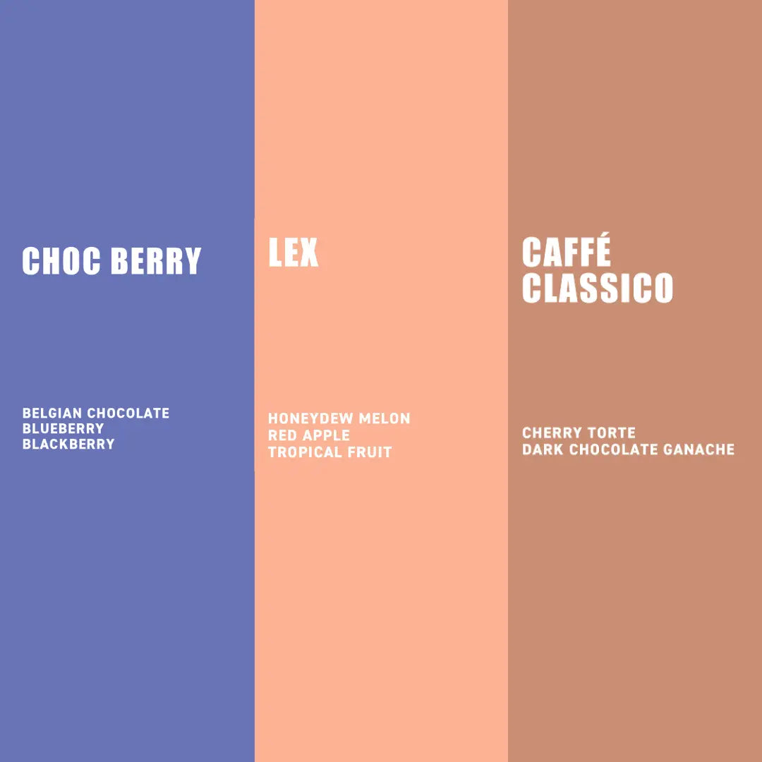 Award Winning Coffee Taster Pack