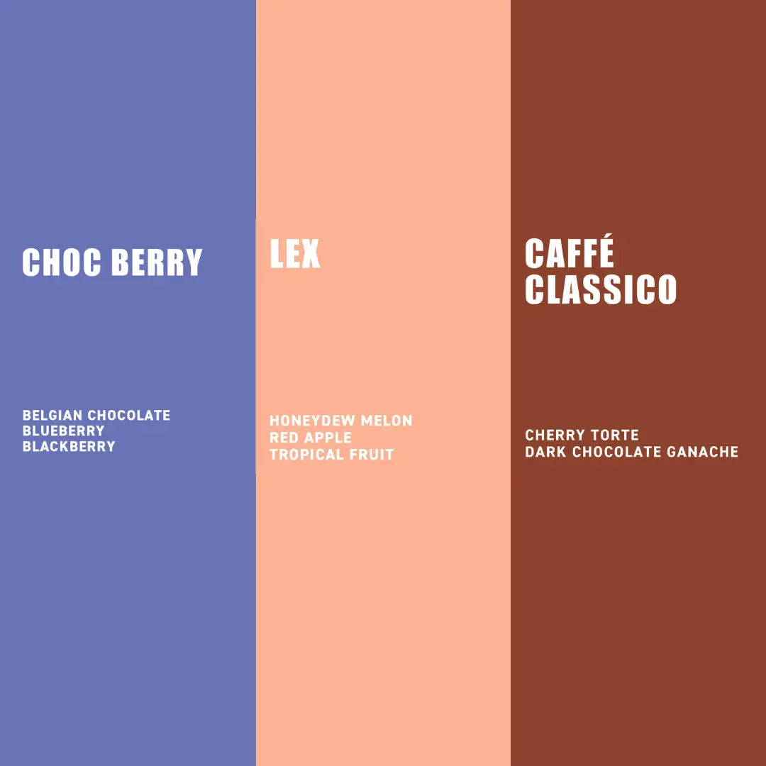 
                  
                    Award winning coffee blend taster pack flavours
                  
                