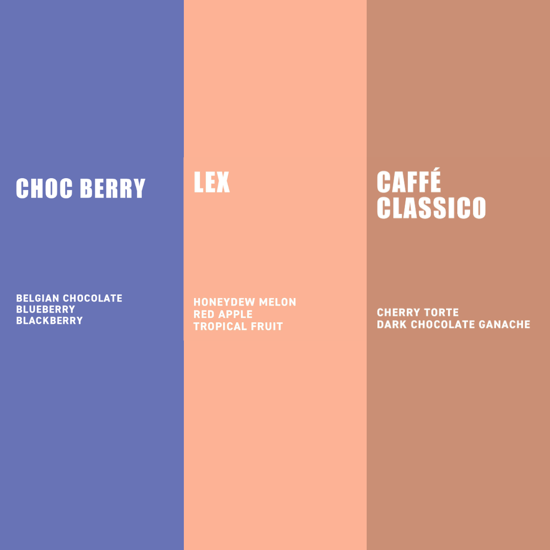 Award Winning Coffee Taster Pack