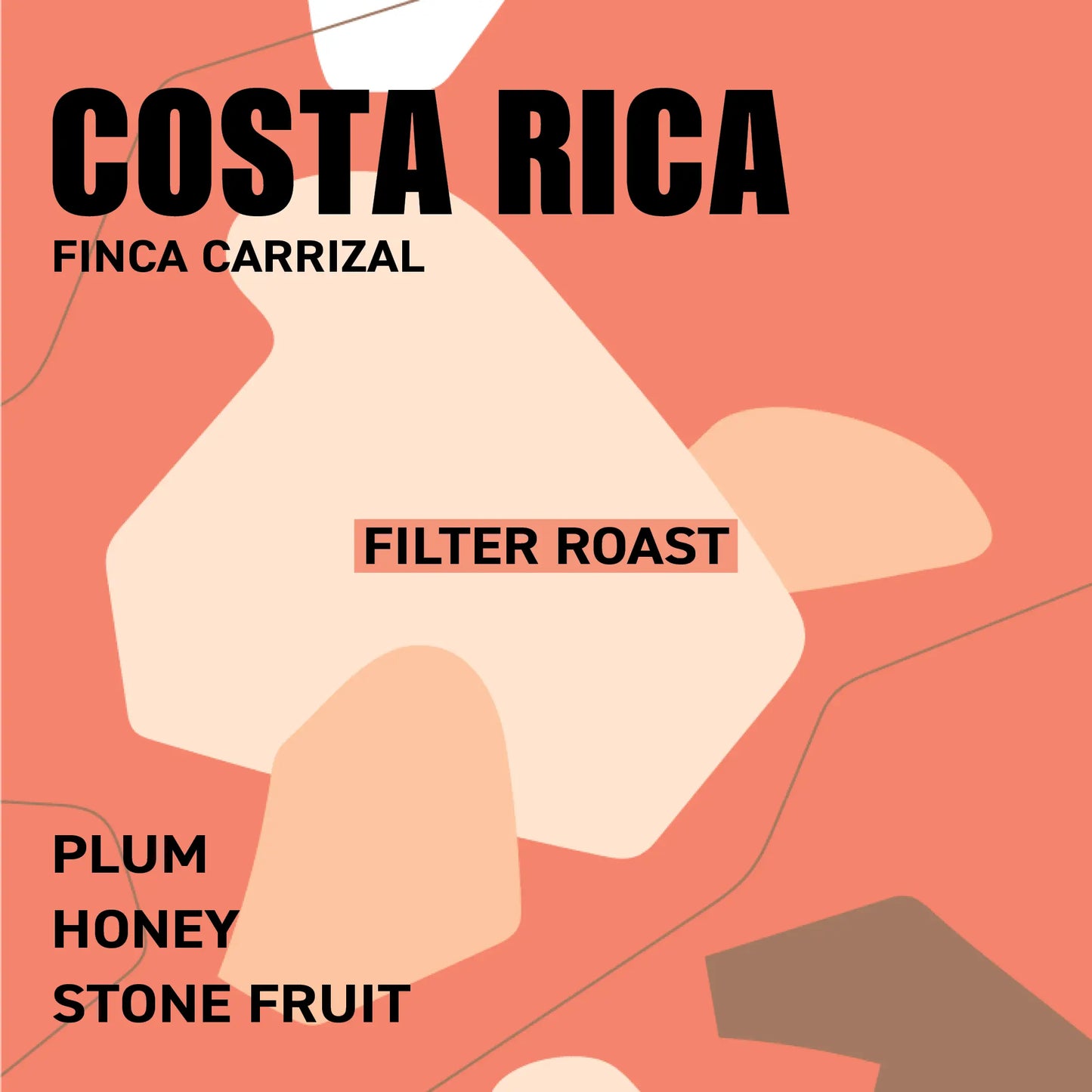 Costa Rica Finca Carrizal Filter Roast The Wood Roaster Coffee
