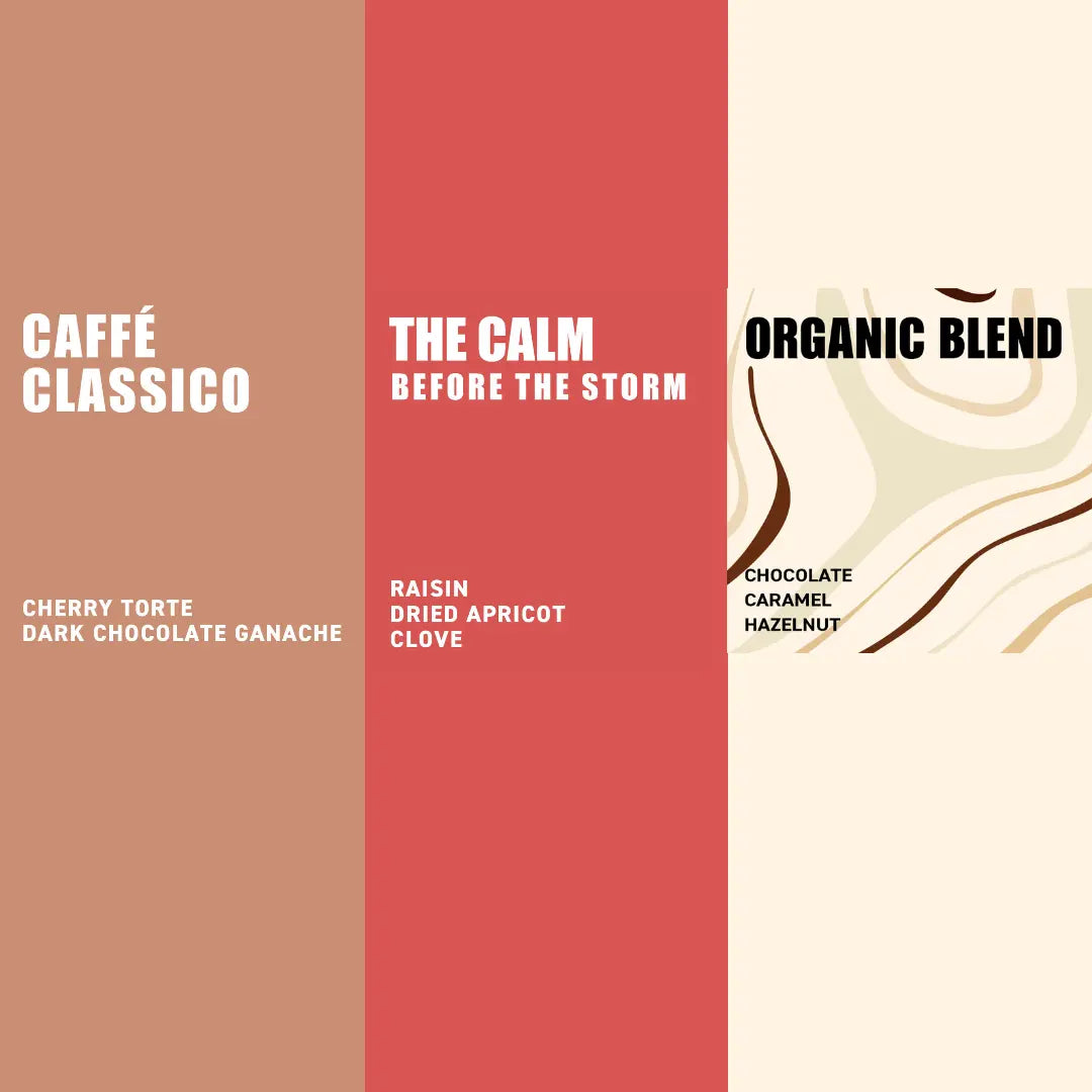 Dark Roasts Taster Pack