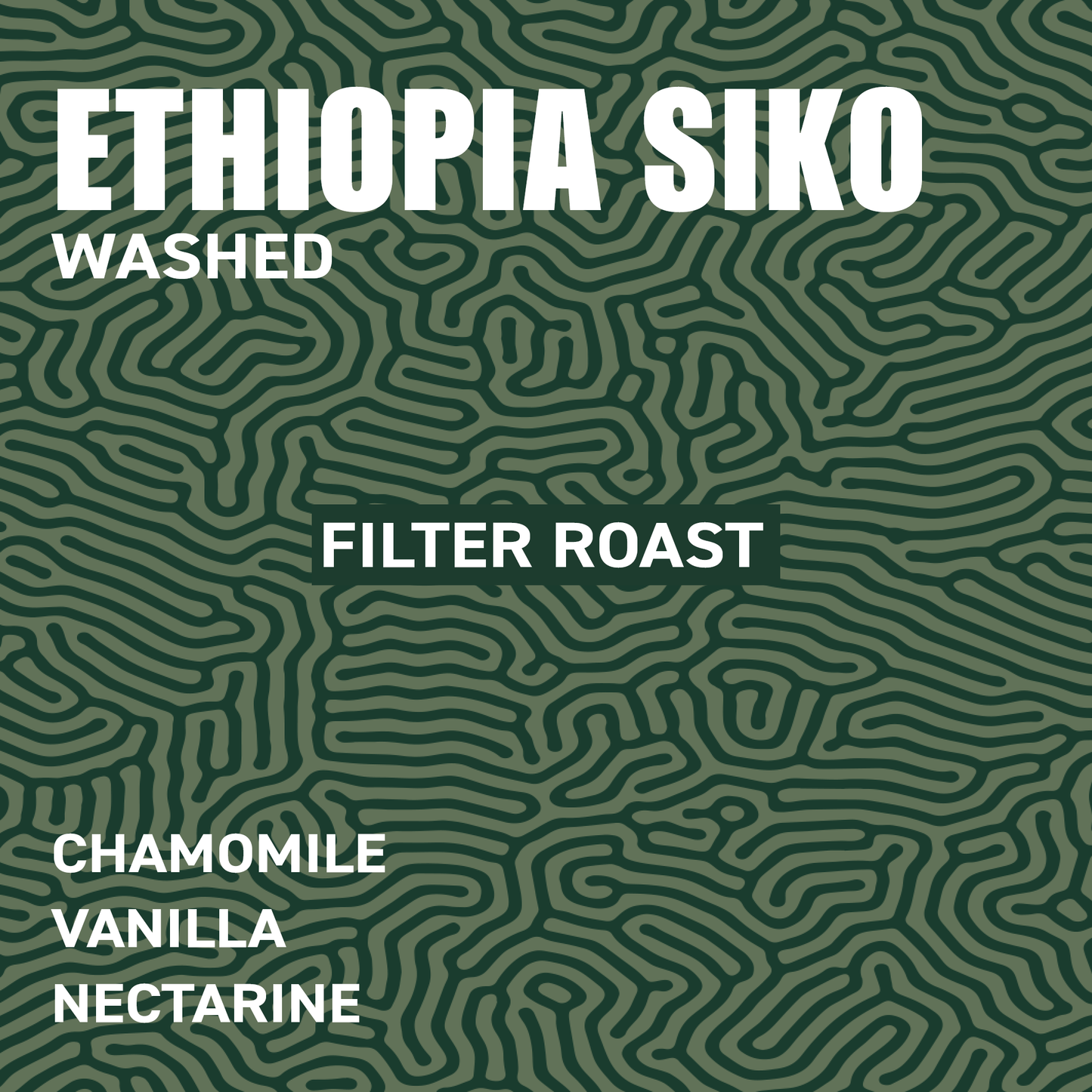 Ethiopia Siko G1 Washed | Filter Roast The Wood Roaster Coffee