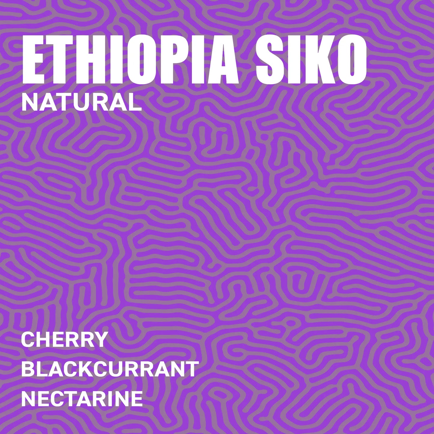 Ethiopia Siko G1 Natural Single Origin Specialty Coffee Flavour Profile