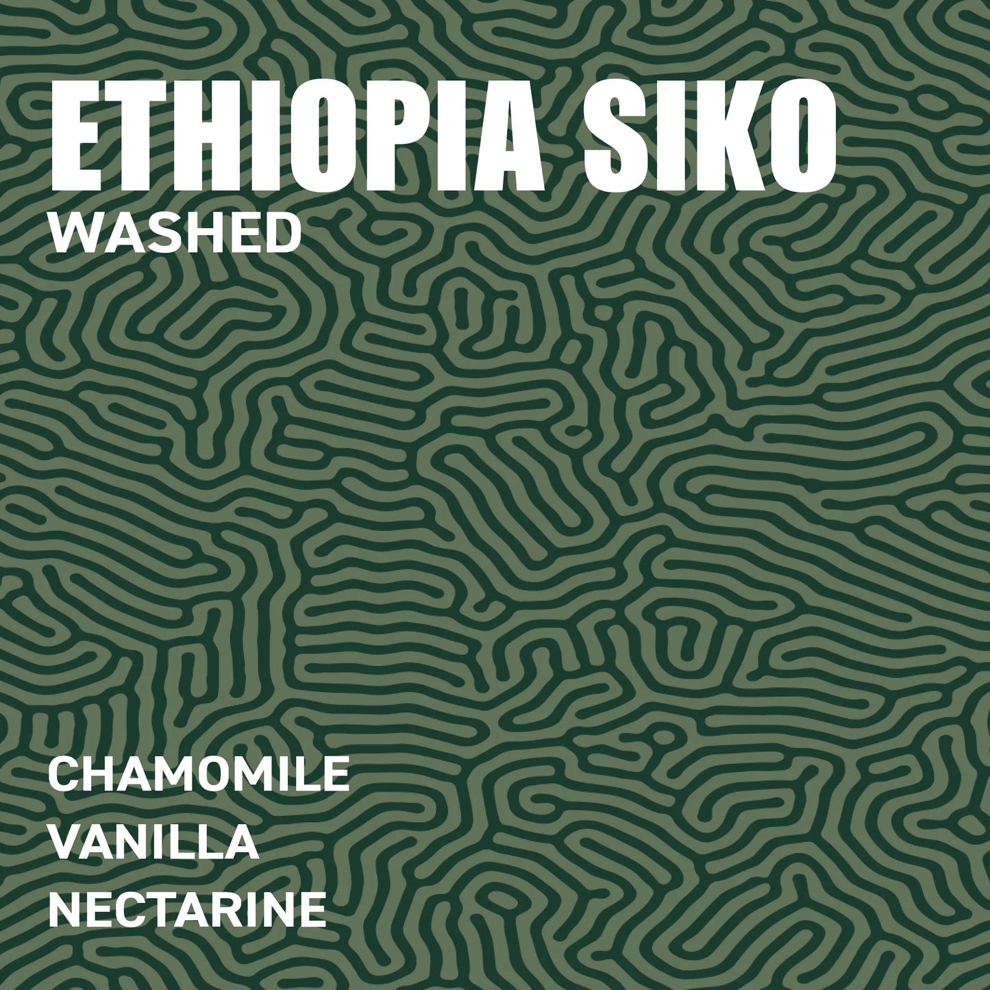 Ethiopia Siko G1 Washed Single Origin Specialty Coffee tasting profile