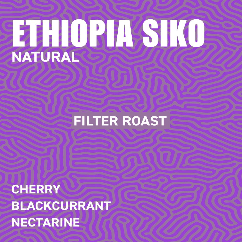 Ethiopia Siko G1 Natural Filter Roast Flavour Profile