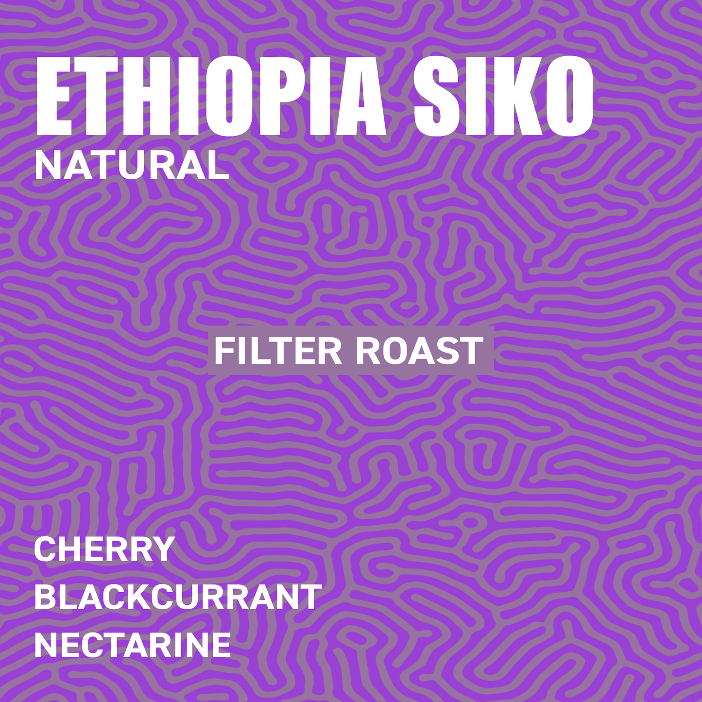 Ethiopia Siko G1 Natural Filter Roast Flavour Profile