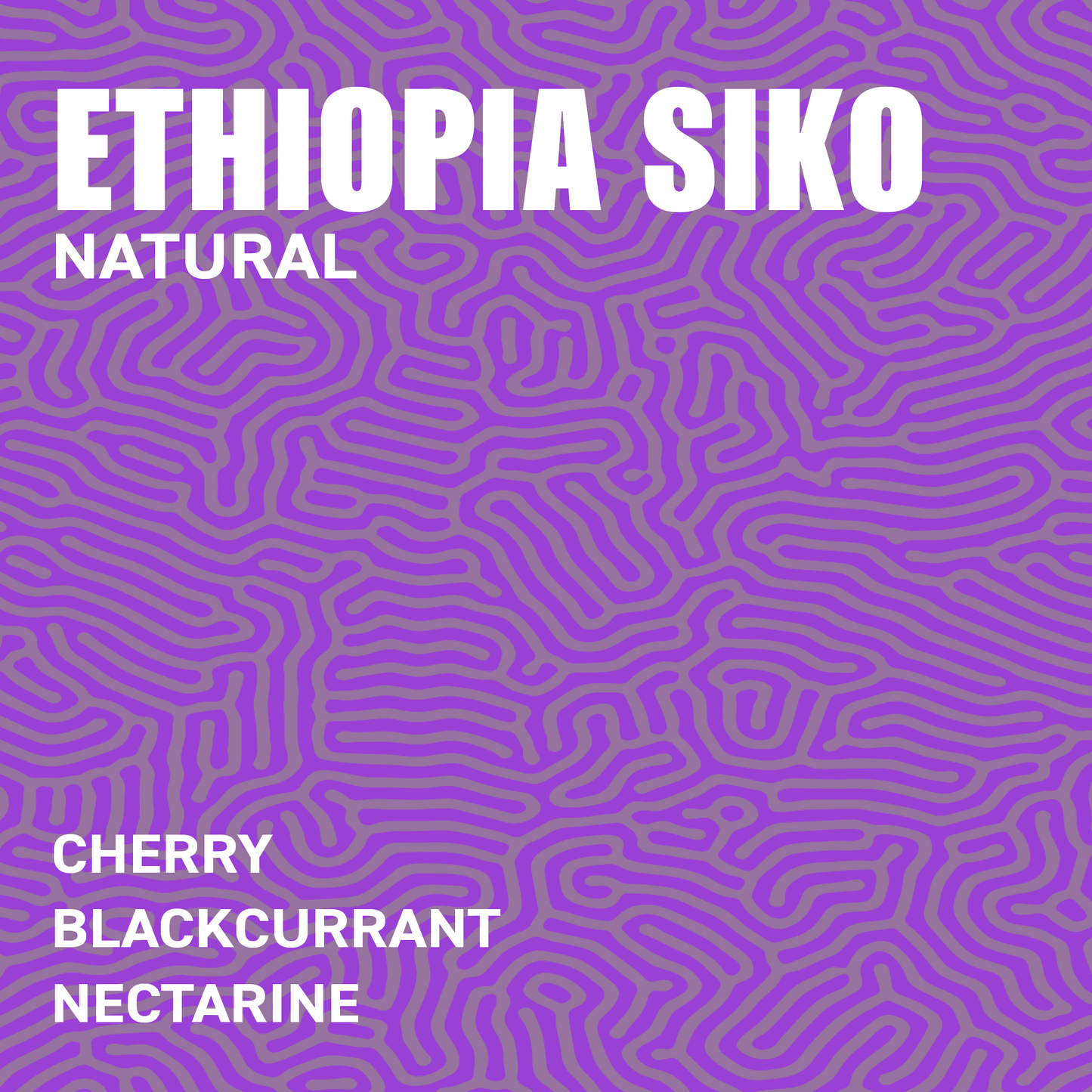 Ethiopia Siko G1 Natural Single Origin Specialty Coffee Flavour Profile