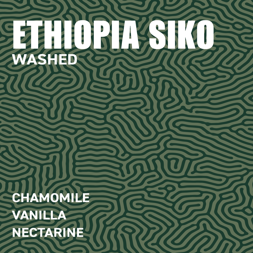 Ethiopia Siko G1 Washed Single Origin Specialty Coffee tasting profile