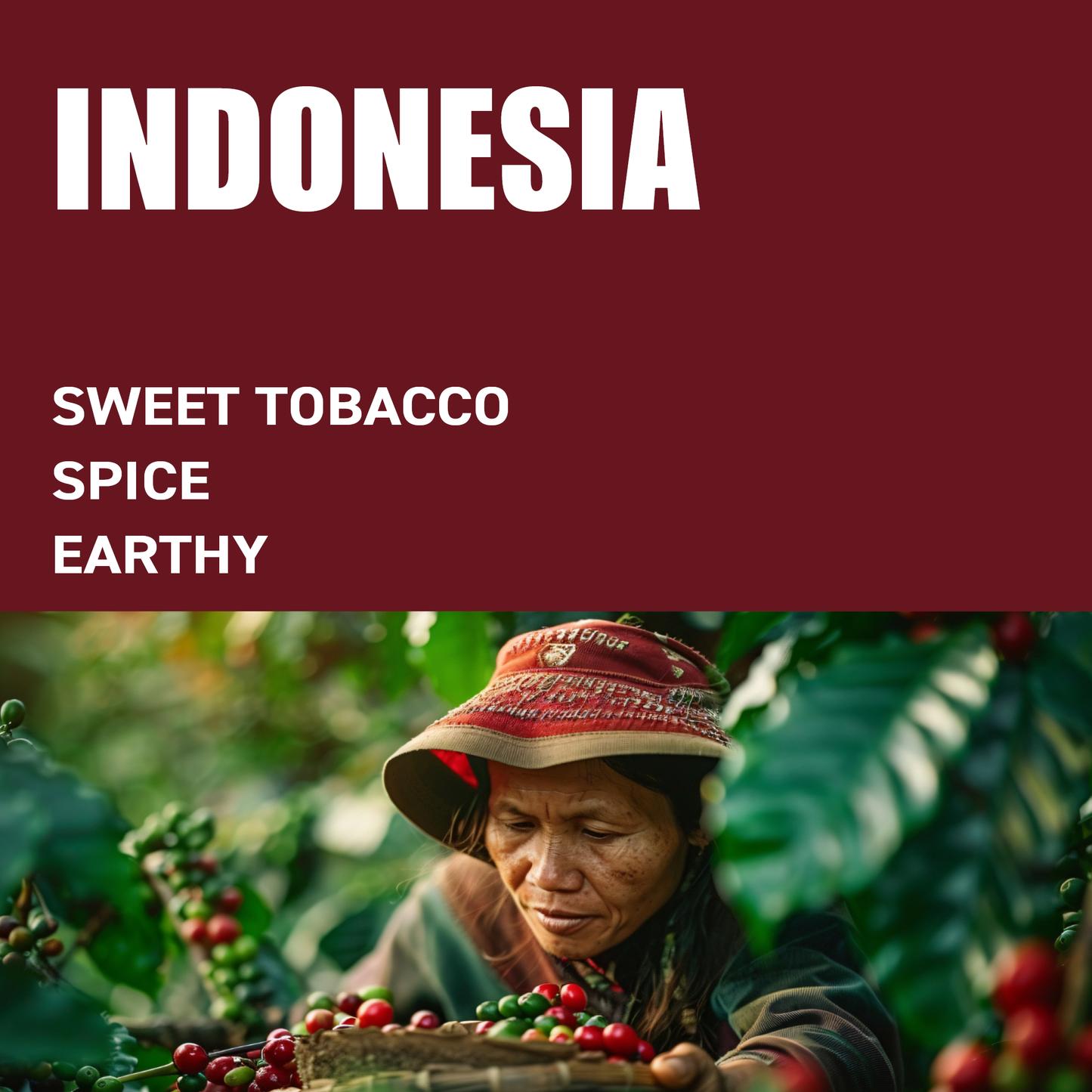 Indonesia Single Origin The Wood Roaster Coffee