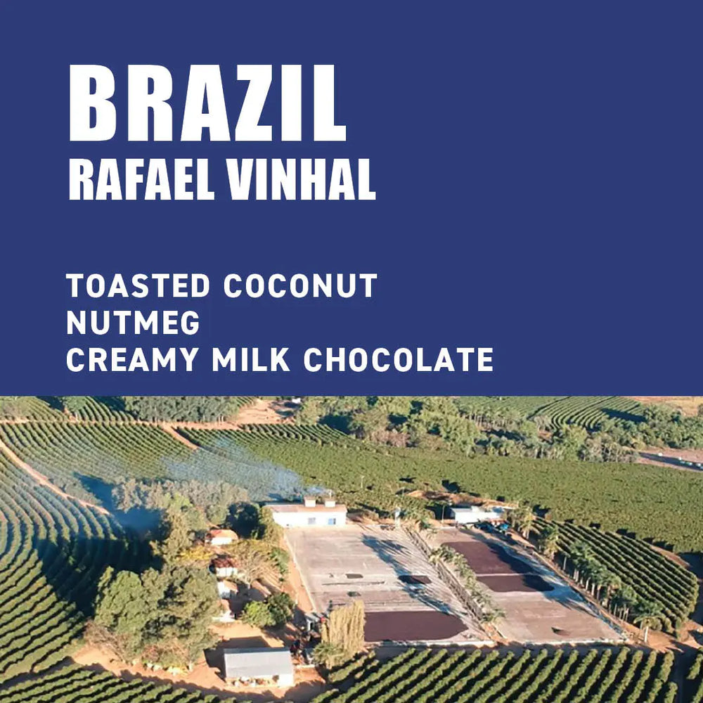 Brazil Rafael Vinhal The Wood Roaster Coffee