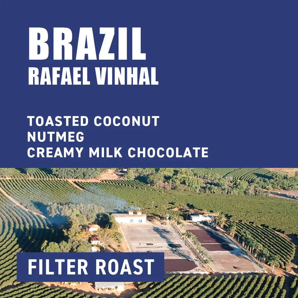Brazil Rafael Vinhal Filter Roast The Wood Roaster Coffee