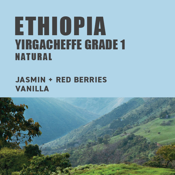 
                  
                    Ethiopia Yirgacheffe Grade 1 Natural
                  
                