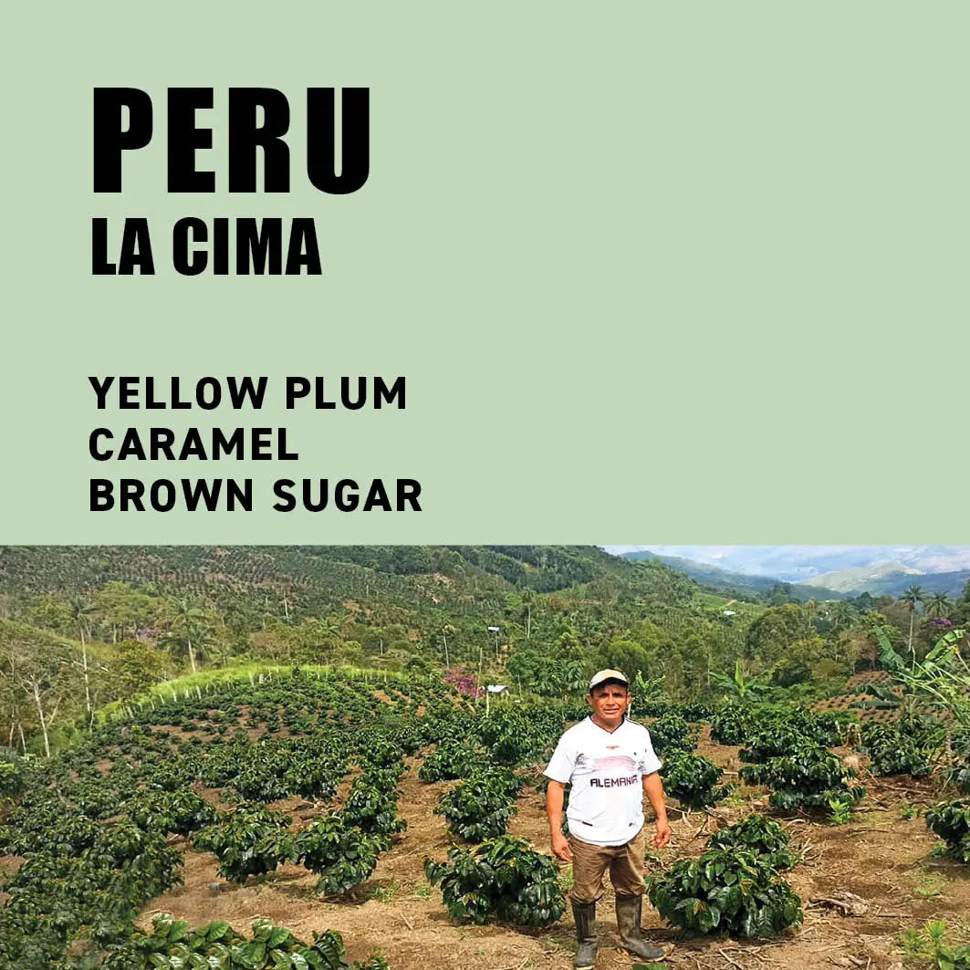 
                  
                    Peru La Cima The Wood Roaster Coffee
                  
                
