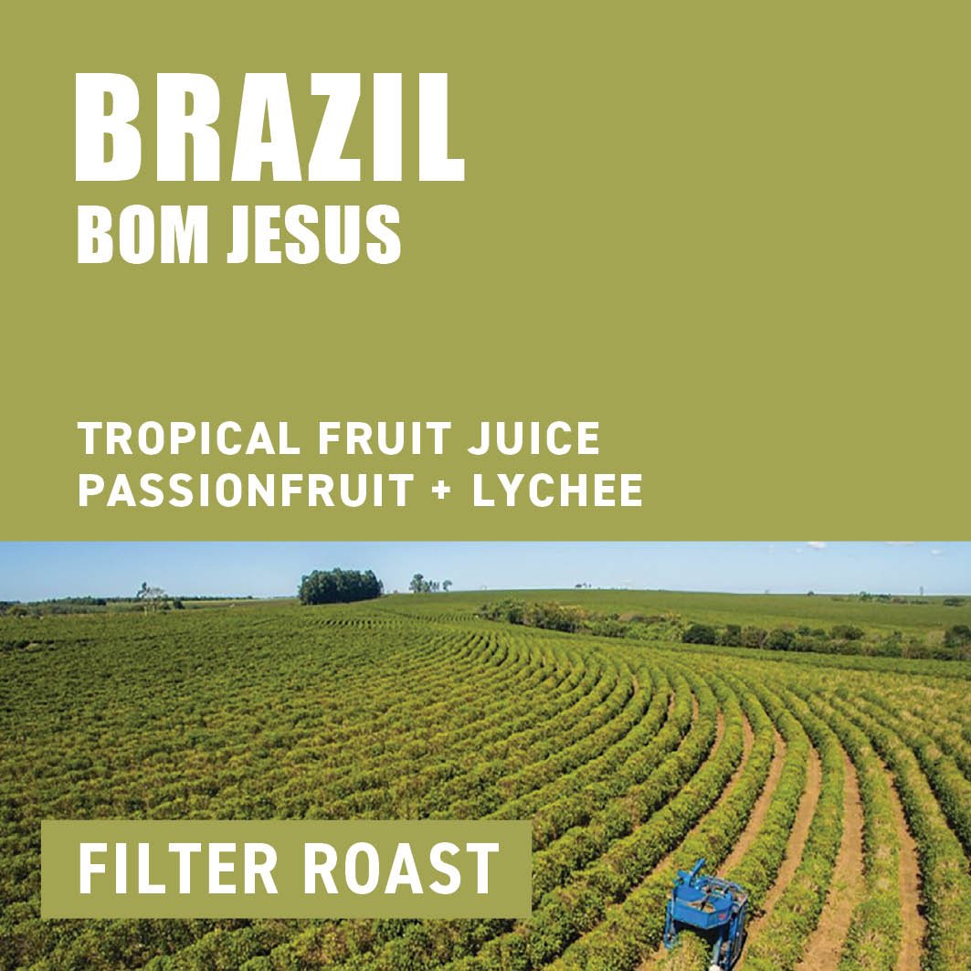Brazil Bom Jesus | Filter Roast - The Wood Roaster