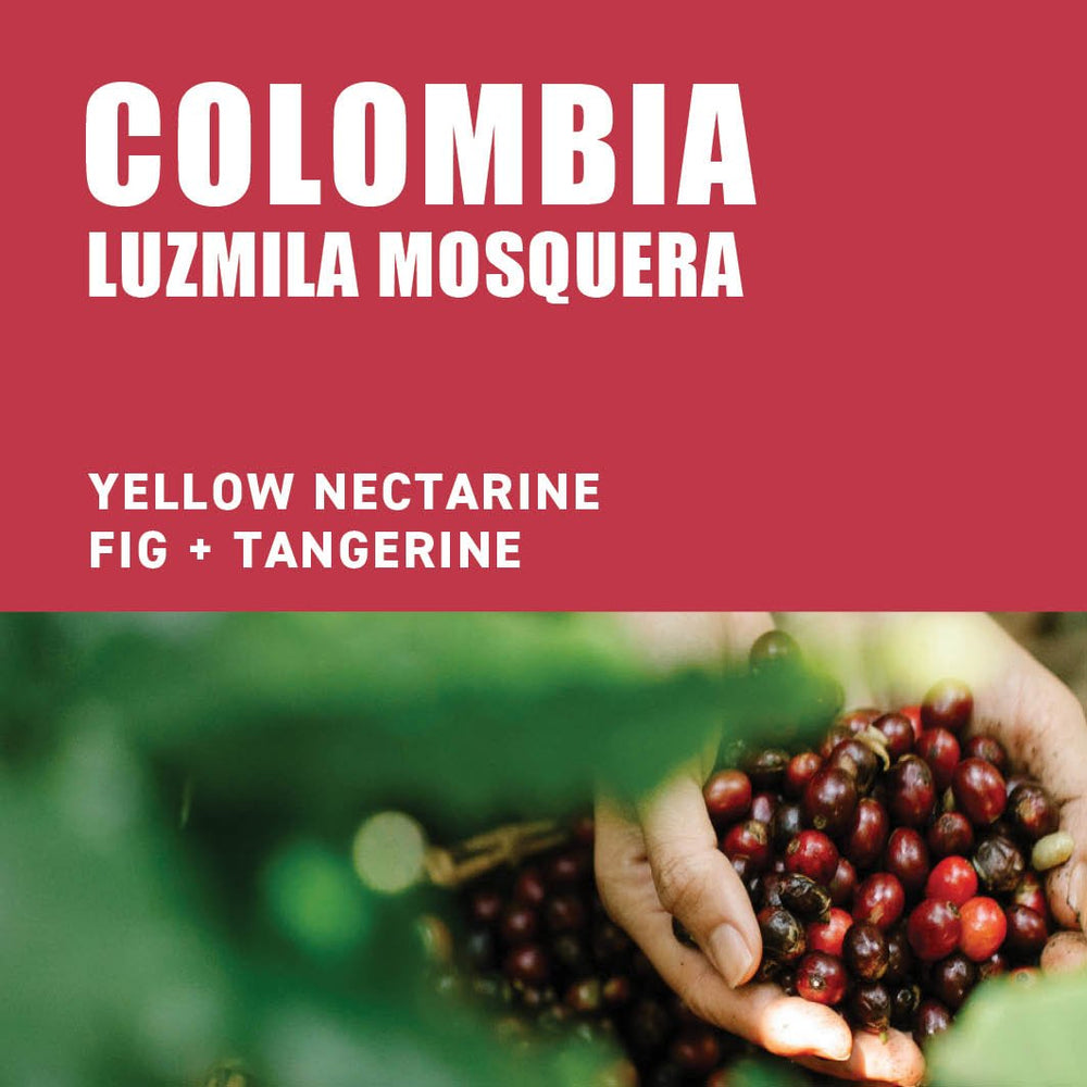 Colombia Luzmila Mosquera - The Wood Roaster
