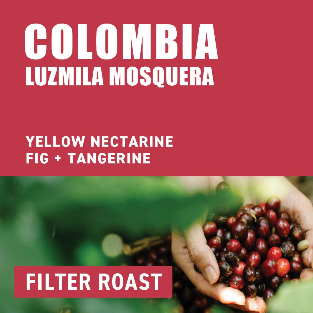 Colombia Luzmila Mosquera Filter Roast - The Wood Roaster