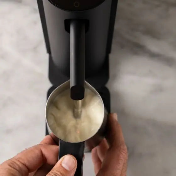 Best Milk Steamer for Frothy Coffee | Morning Dream – The Wood Roaster