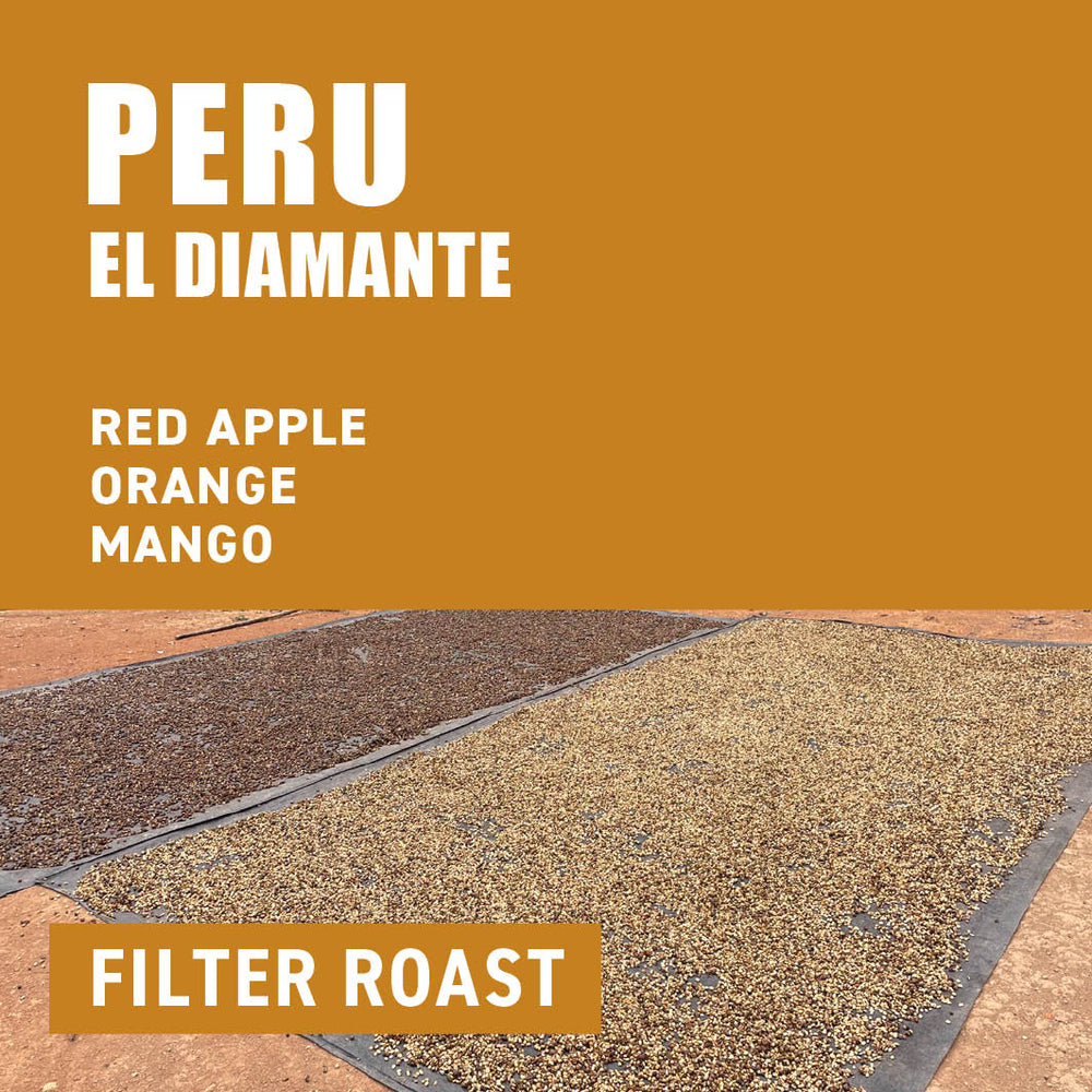 Peru El Diamante Filter Roaster - The Wood Roaster