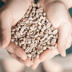 wood roasted specialty coffee