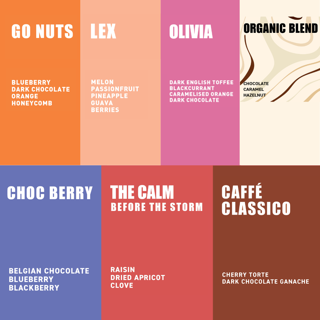 ultimate coffee blends taster pack Flavours