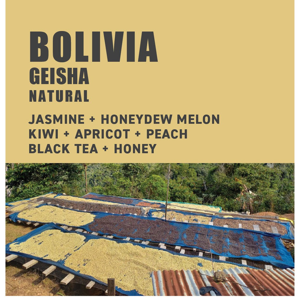 Bolivia Geisha Natural - The Wood Roaster