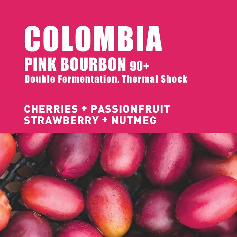 
                  
                    Colombia Pink Bourbon 90+ Double Ferm, Thermal Shock - The Wood Roaster
                  
                