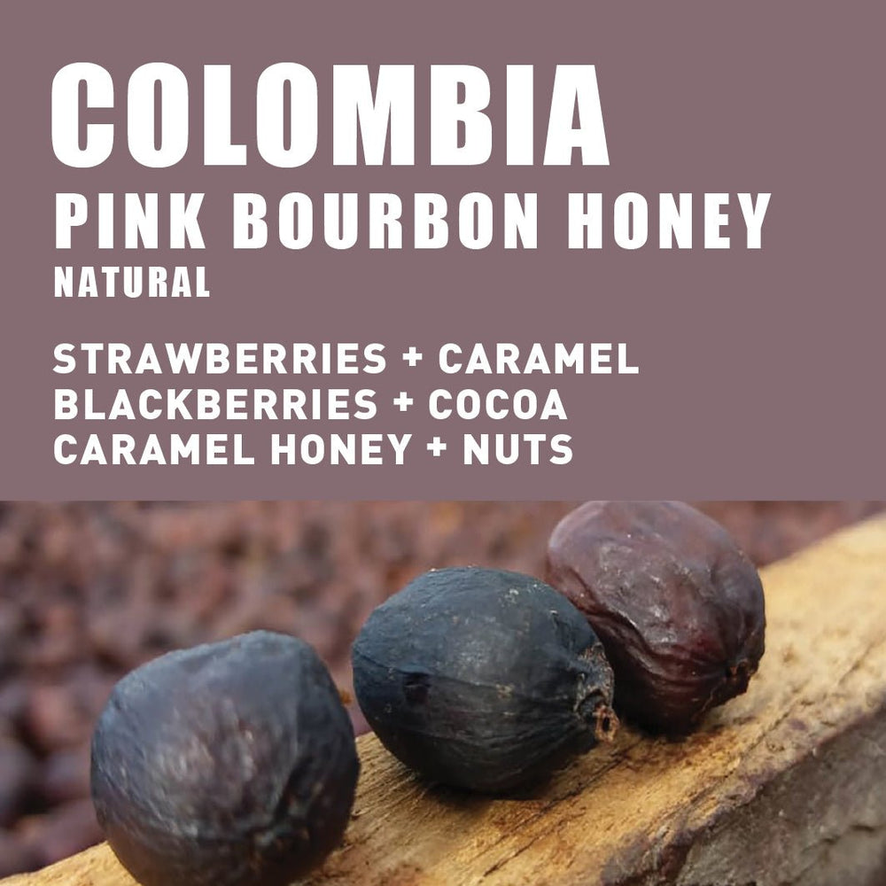 
                  
                    Colombia Pink Bourbon Honey Natural - The Wood Roaster
                  
                