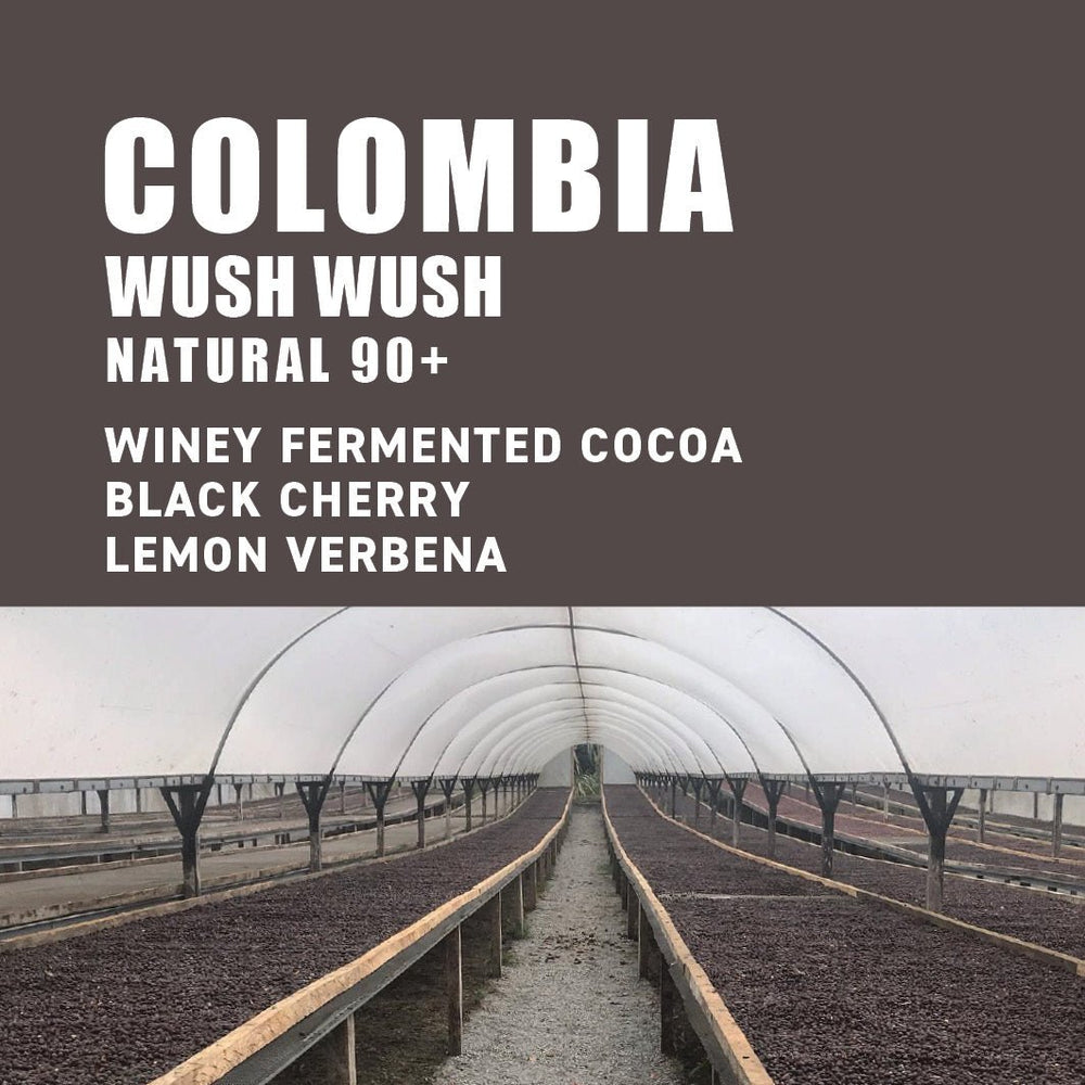 
                  
                    Colombia WUSH WUSH Exclusive Rare 90+ - The Wood Roaster
                  
                