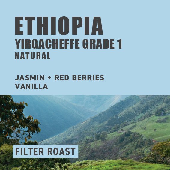 
                  
                    Ethiopia Yirgacheffe Grade 1 Natural | Filter Roast - The Wood Roaster
                  
                