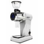 Mazzer ZM  Coffee Grinder - The Wood Roaster